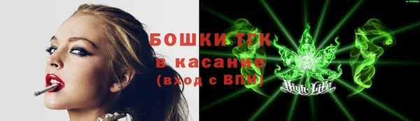 мдпв Белокуриха