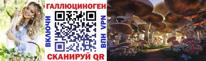 Галлюциногенные грибы Cubensis  Купить закладки  Видное 
